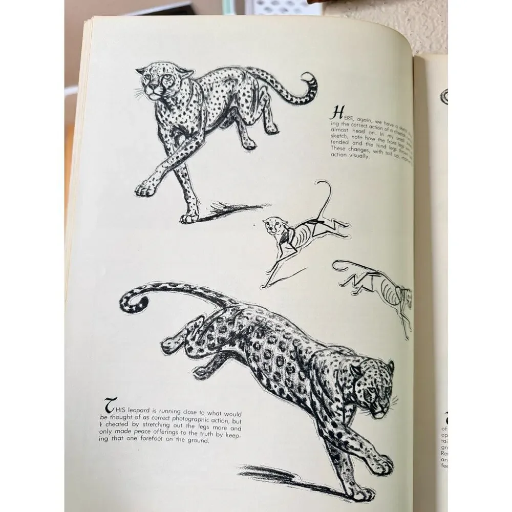 The Cats In Action by Walter J. Wilwerding Walter T. Foster Art Books #70